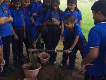 वृक्षारोपण अभियान