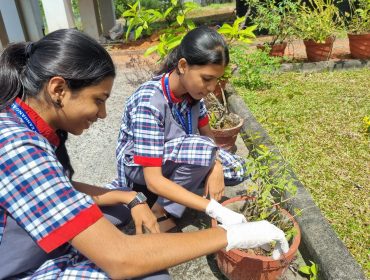 Swachhata Campaign
