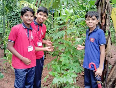 FIELD VISIT2