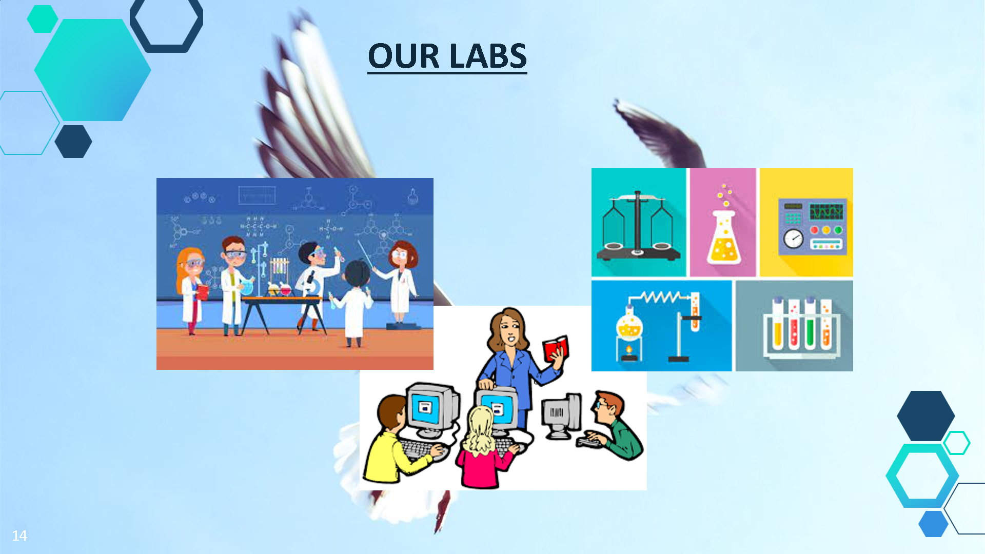 स्कूल गतिविधि