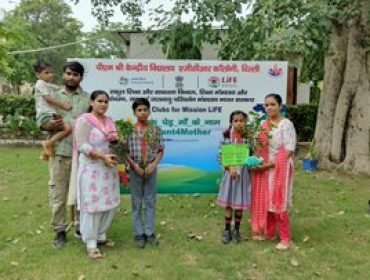 Tree Plantation Drive4