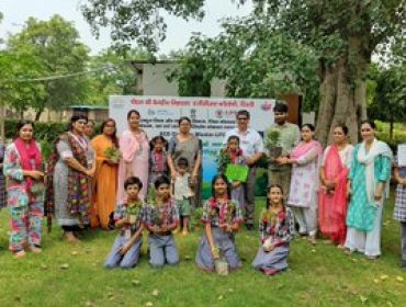 Tree Plantation Drive