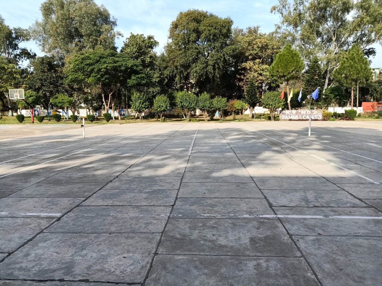 लॉन टेनिस