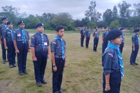 Scout Activity