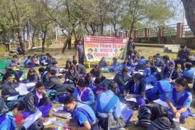 Scout Activity