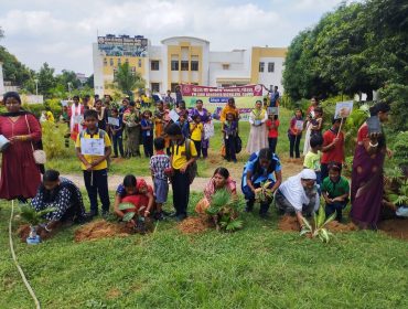 Plantation Program