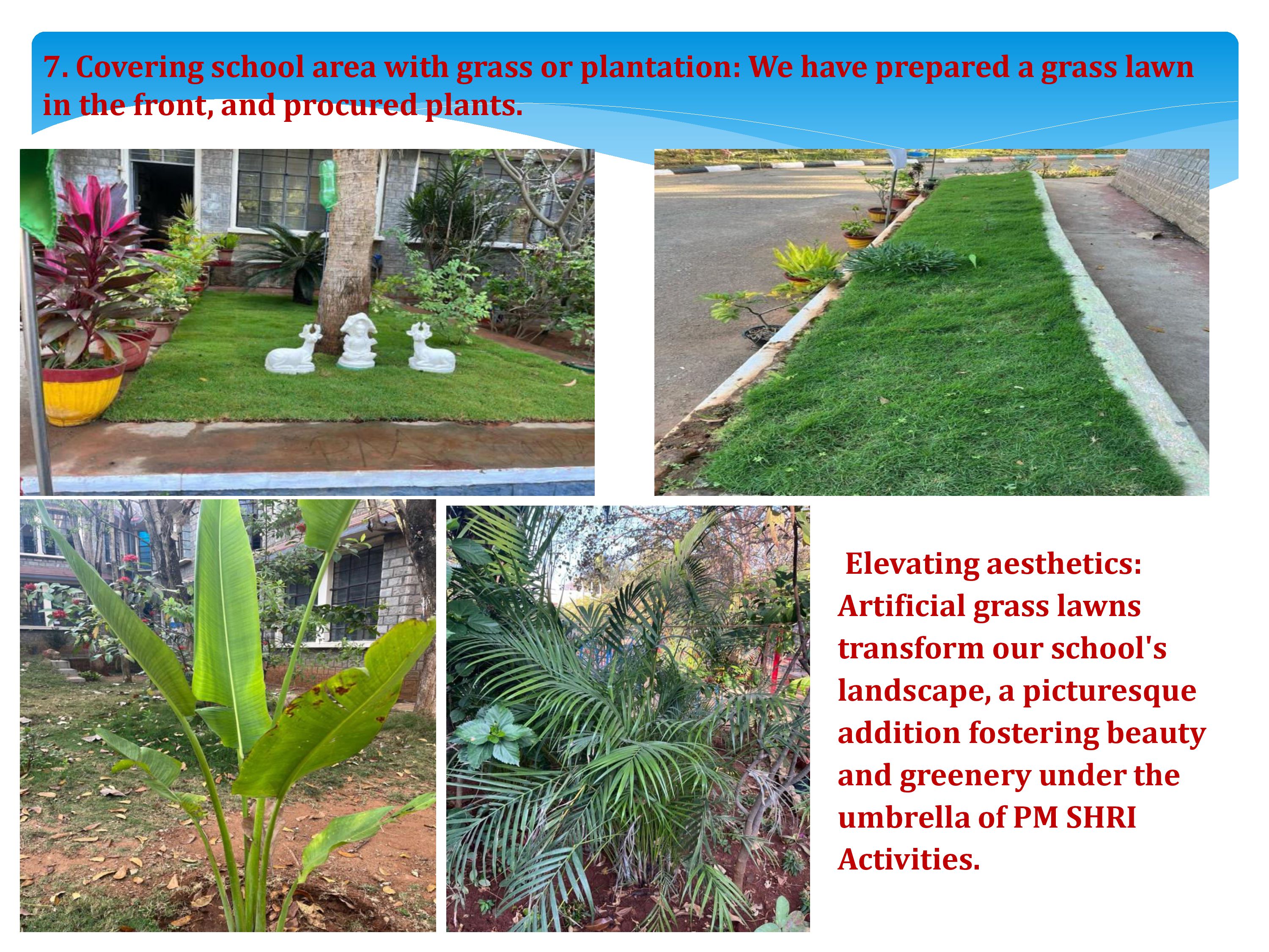 तृण का लॉन