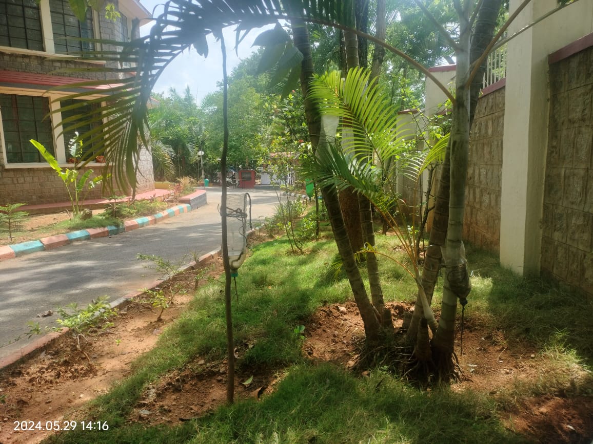 बूंद से सिंचाई