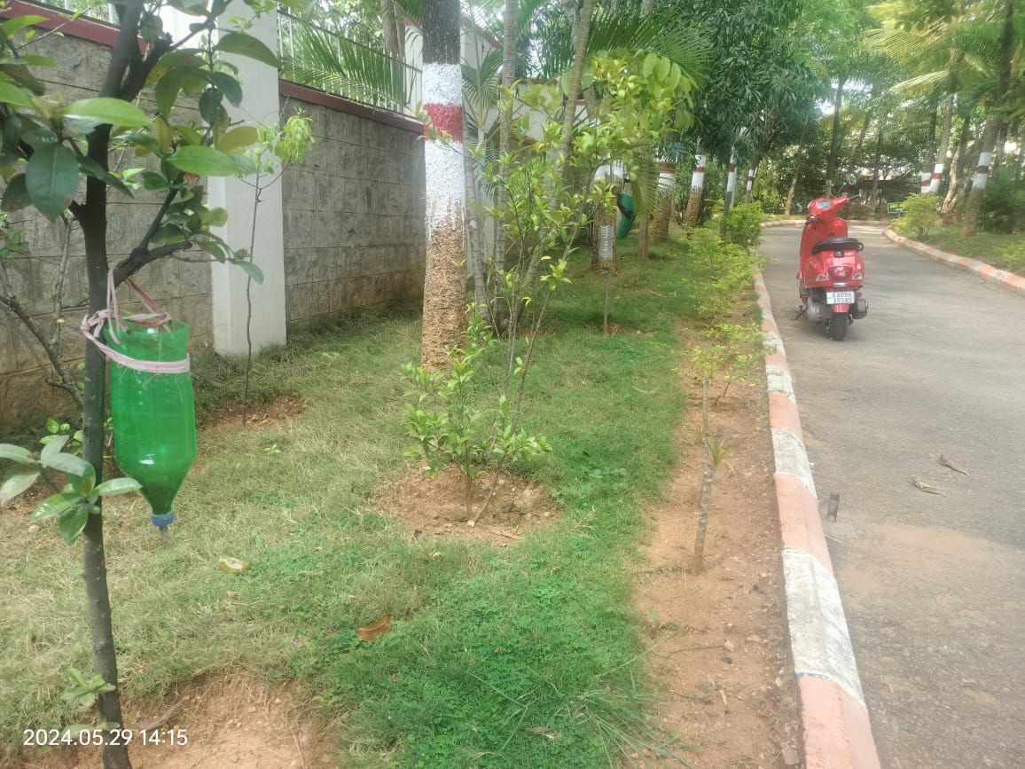 बूंद से सिंचाई