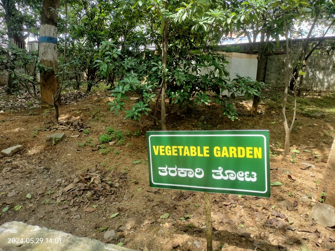 बूंद से सिंचाई