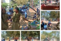 community participant