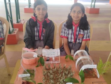 पीएम श्री केन्द्रीय विद्यालय मैसूर में आर एस बी वी पी स्कूल स्तरीय प्रदर्शनी