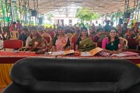 EBSB AND KALA UTSAV 2016-17 (12)