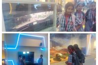 trip (3)