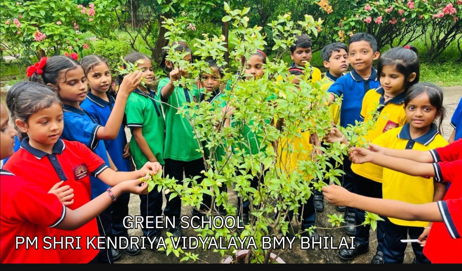 green school