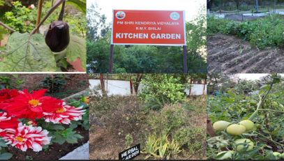 VEGETABLE GARDEN