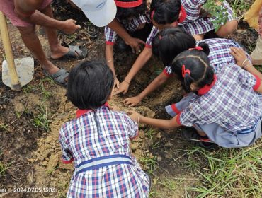 Tree Plantation-Students Planting Together