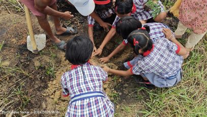 Tree Plantation-Students Planting Together
