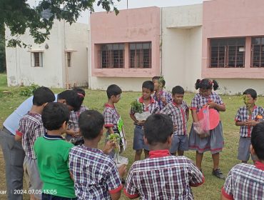 Tree Plantation-A Greener future ahead