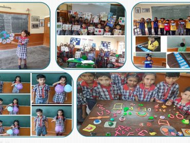 FLN ACTIVITIES