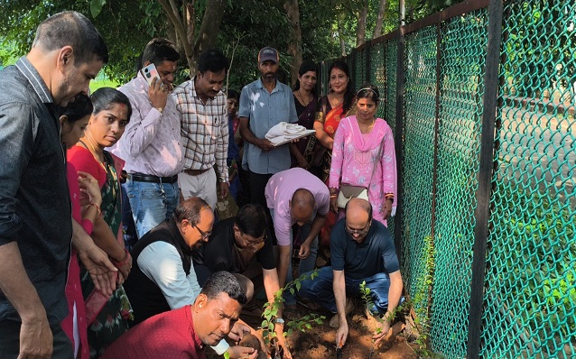 plantation by dc sir