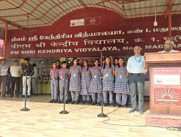 पैनल निरीक्षण