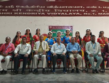 पैनल निरीक्षण