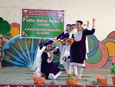 पैनल निरीक्षण