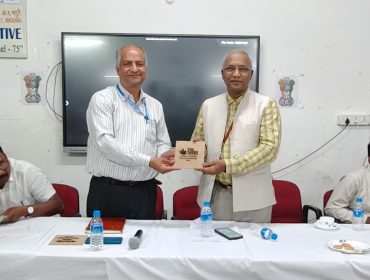 पैनल निरीक्षण