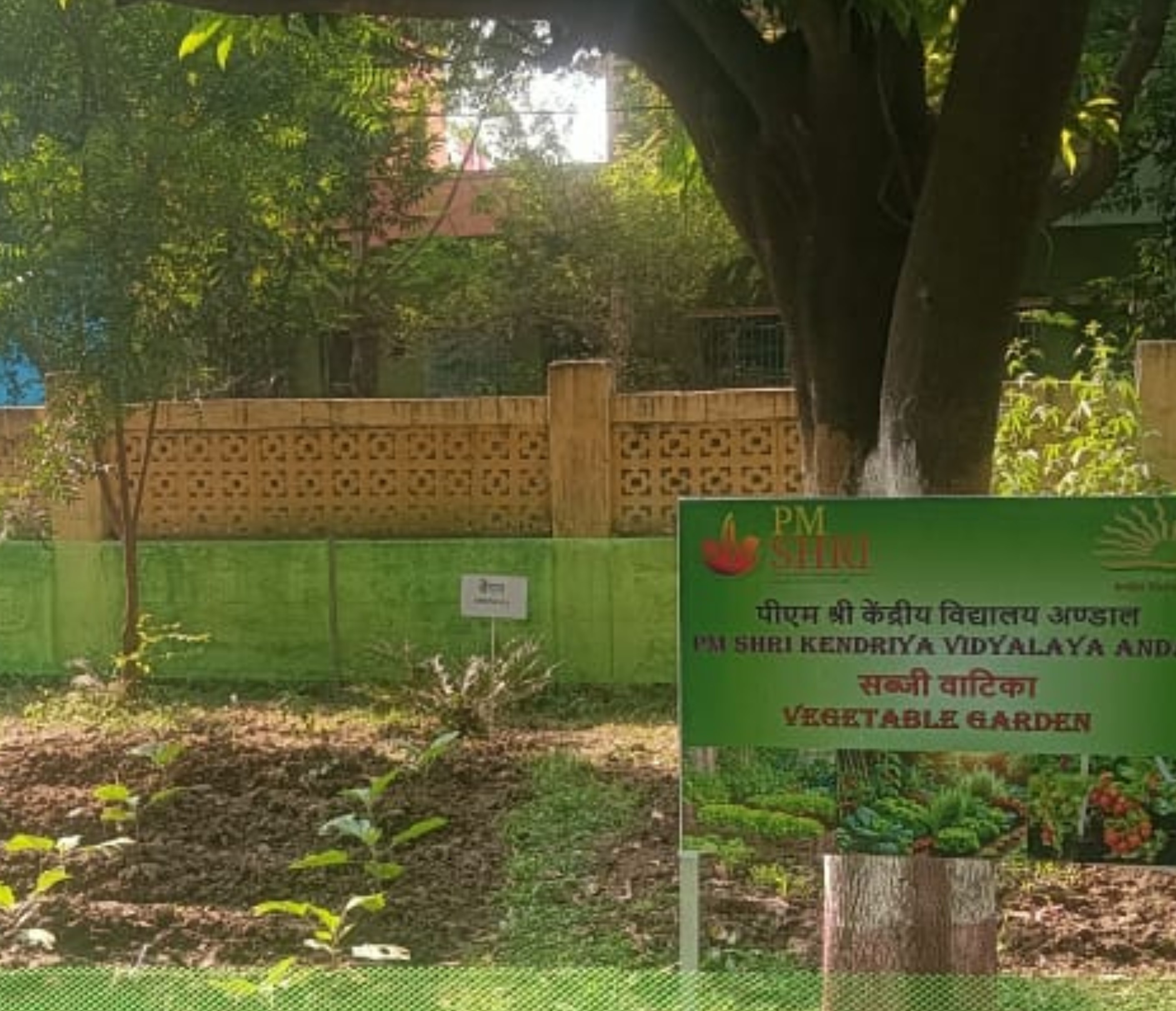 सब्जी का बाग़