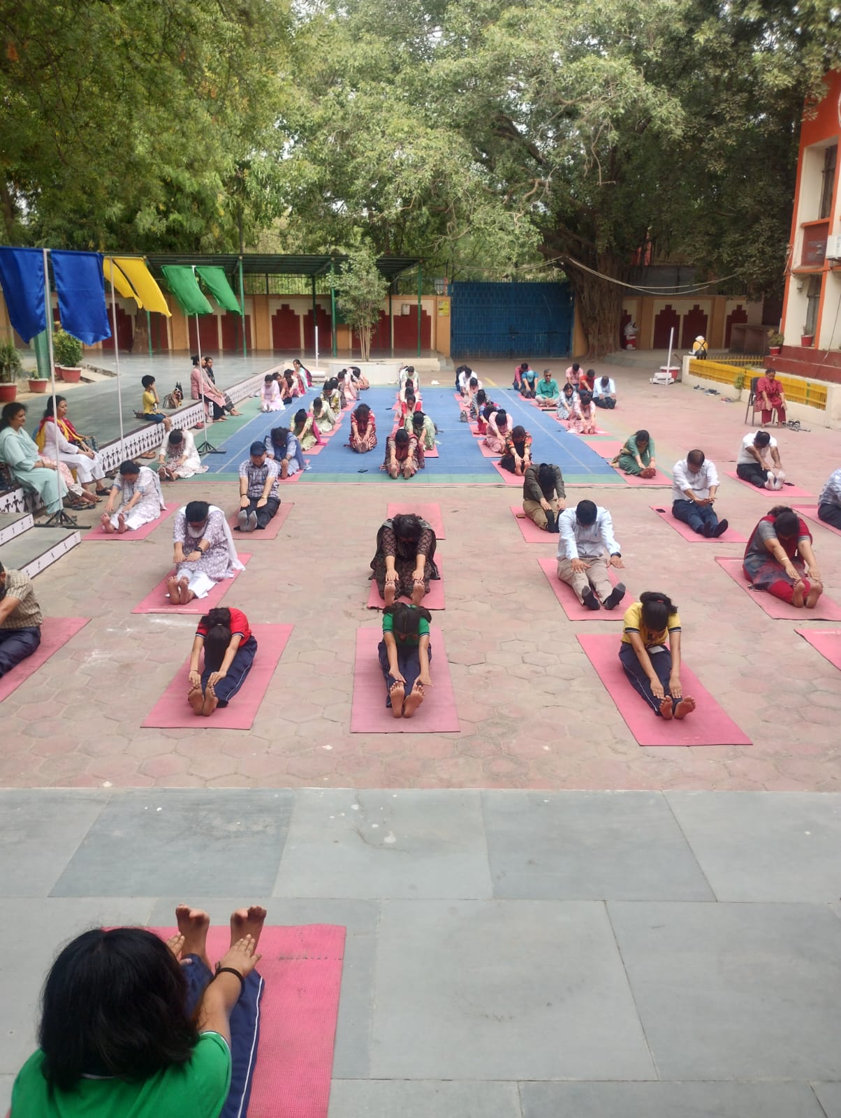 योग दिवस