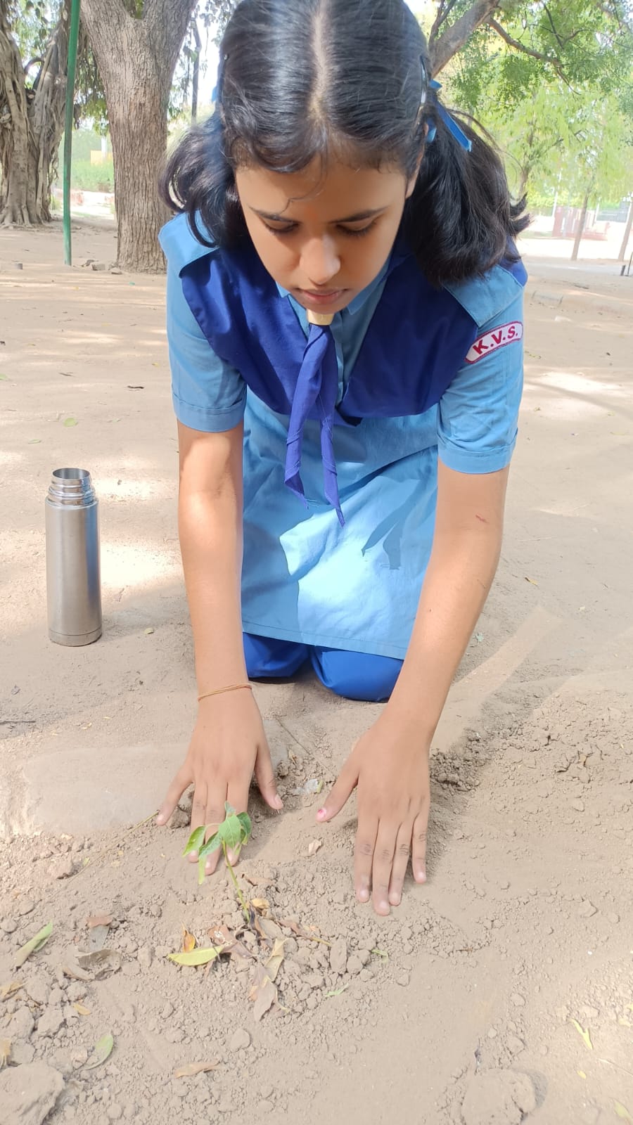 स्काउट एवं गाइड