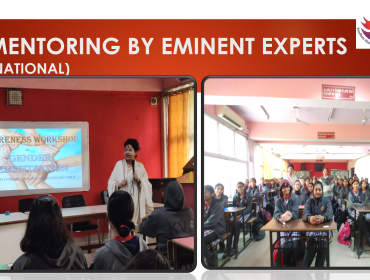 PMSHRI workshop Mentoring by Expert