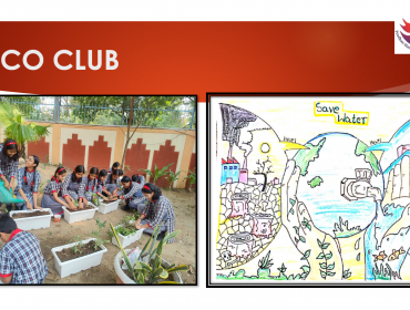 Eco club activity