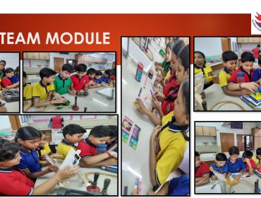 Stem Module
