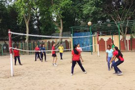VOLLEYBALL