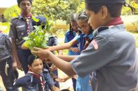 PLANTING TREES