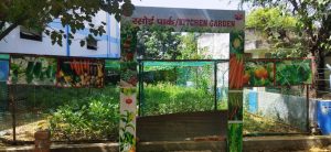 kitchen garden