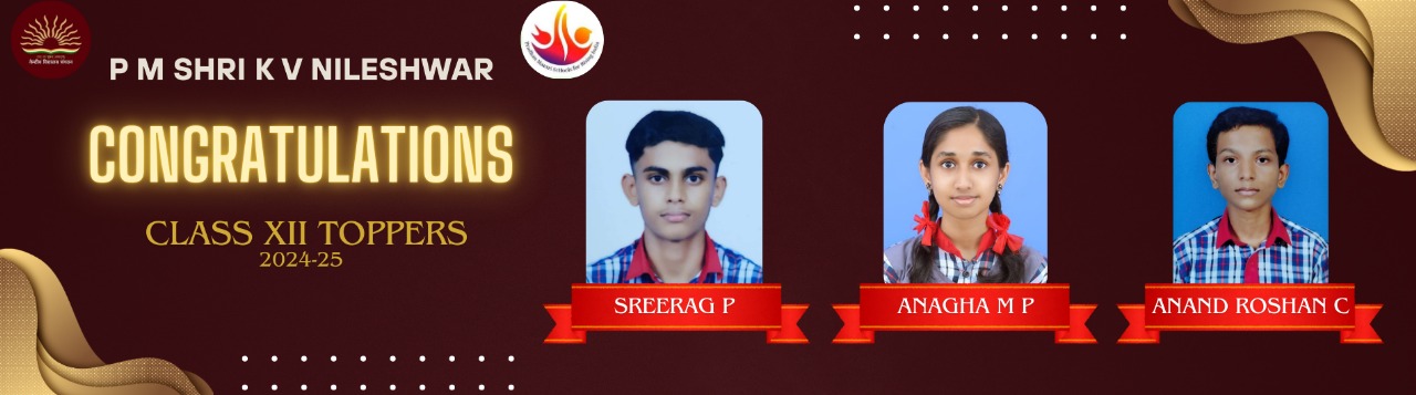 CLASS XII TOPPERS