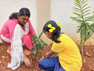 PLANTATION - PLANT FOR MOTHER