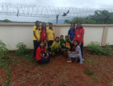 PLANTATION