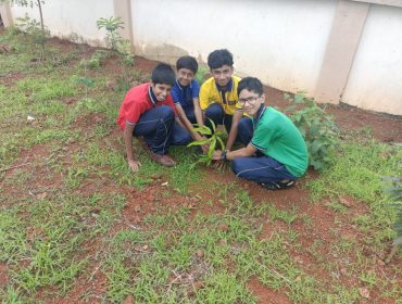 PLANTATION