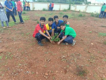 PLANTATION