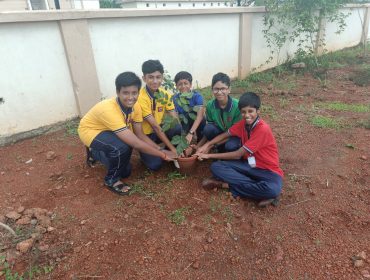 PLANTATION