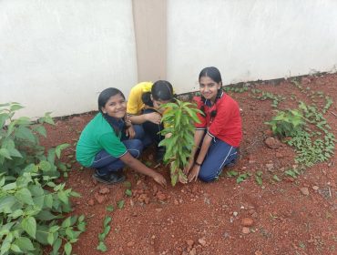 PLANTATION