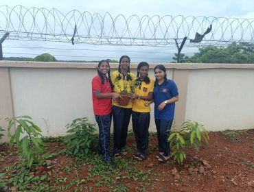 PLANTATION