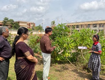 WhatsApp Image 2025-10-29 at 12.57.34 PM (1)