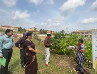 WhatsApp Image 2025-10-29 at 12.57.35 PM