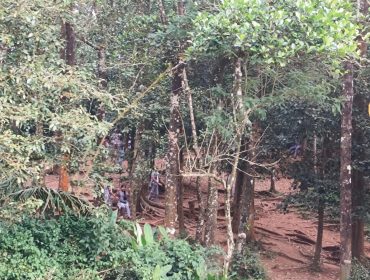 WhatsApp Image 2025-11-10 at 4.51.31 PM