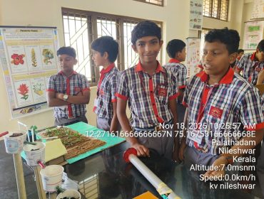 WhatsApp Image 2025-11-18 at 10.49.08 AM